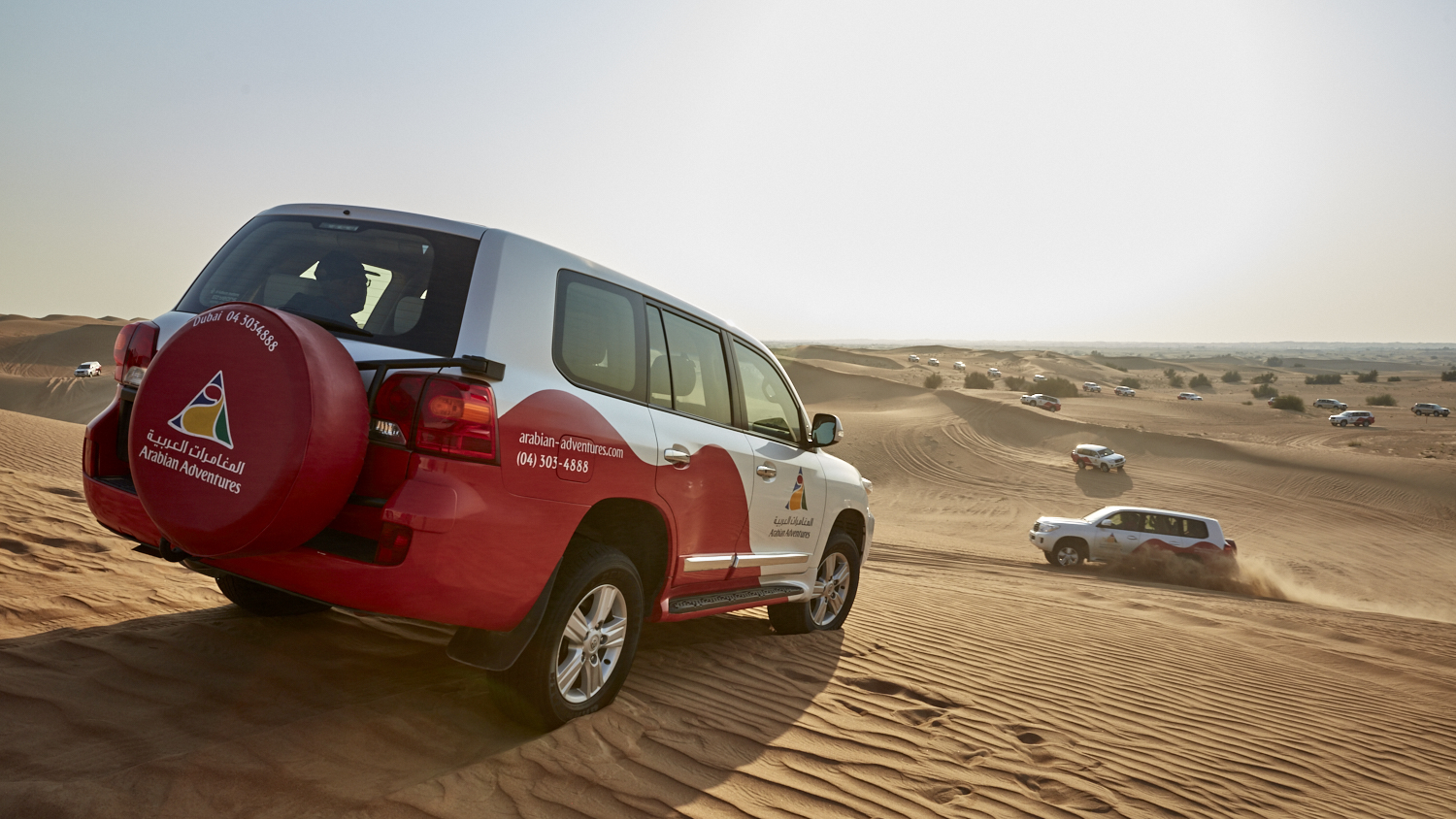 AA_Yofoto_01.09.16_Small__W4A1474