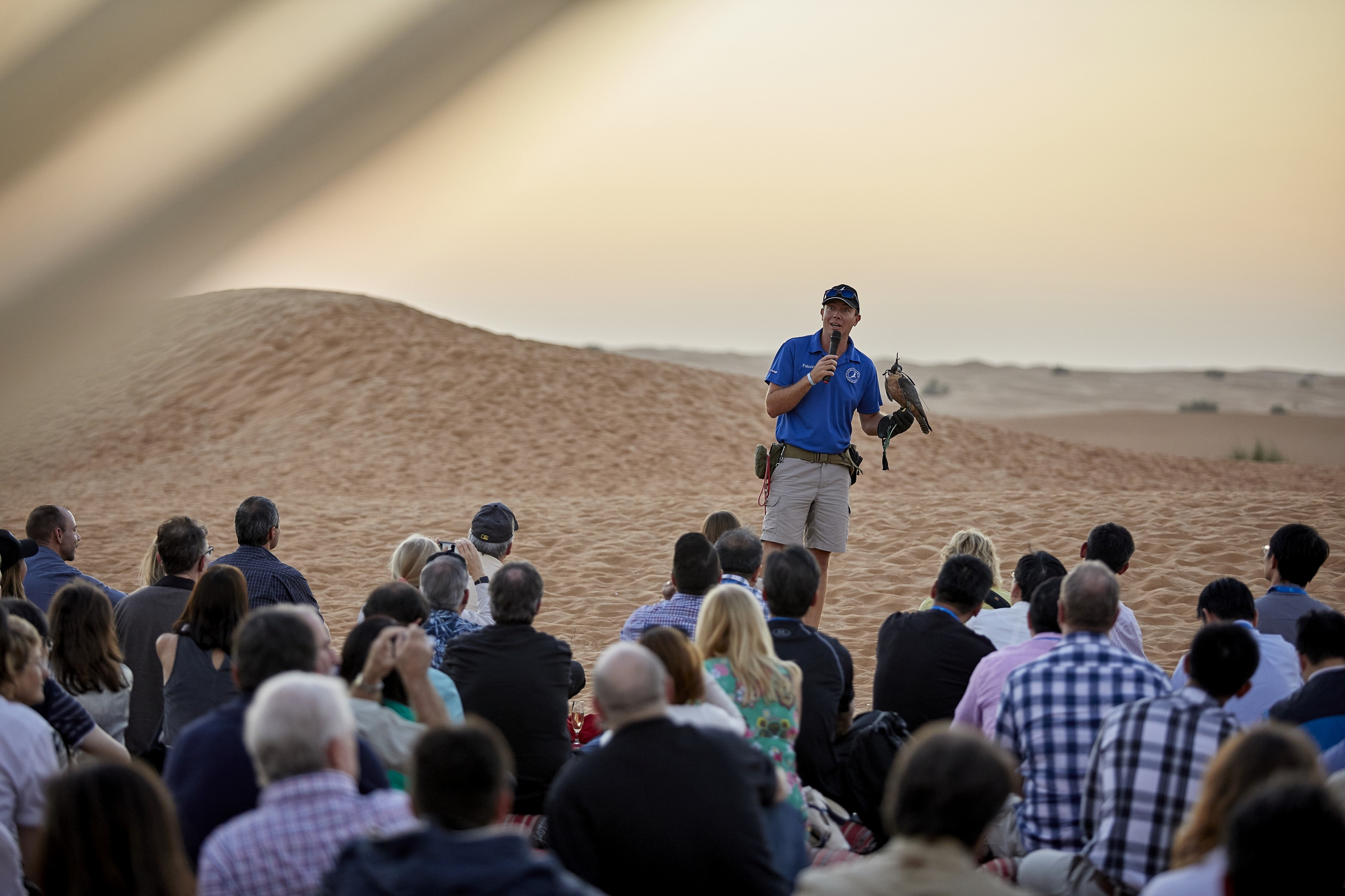 AA_Emirates_14Nov16IMG_0827 - 3 images